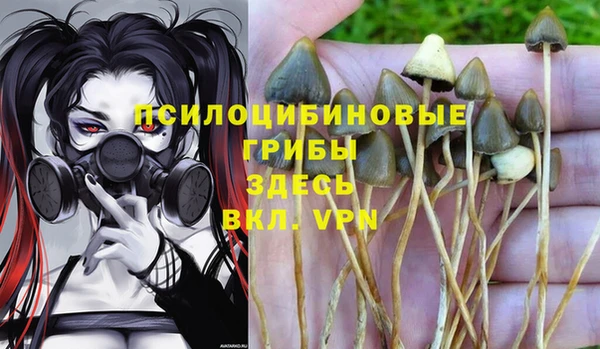 кристаллы Богданович