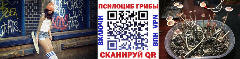 Псилоцибиновые грибы прущие грибы  цена   Нефтеюганск 